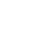 developer