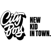 developer