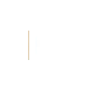 developer