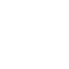 developer