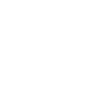 developer