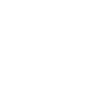 developer