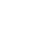 developer