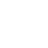 developer