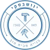 developer