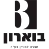 developer