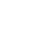 developer