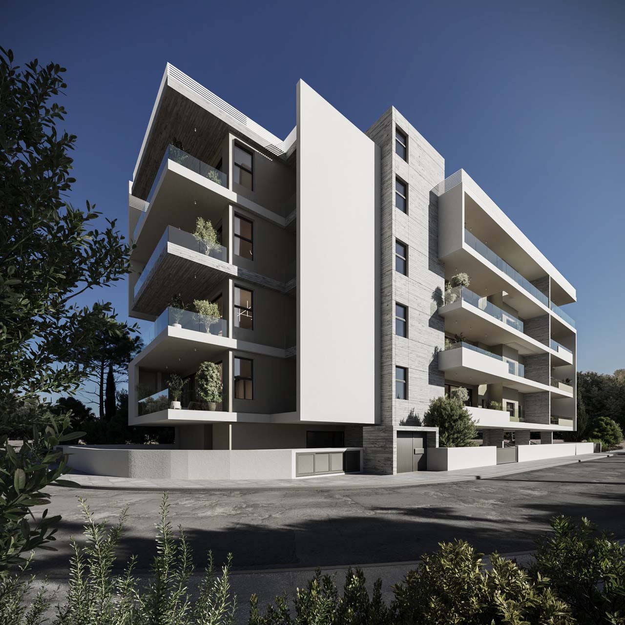 Project image