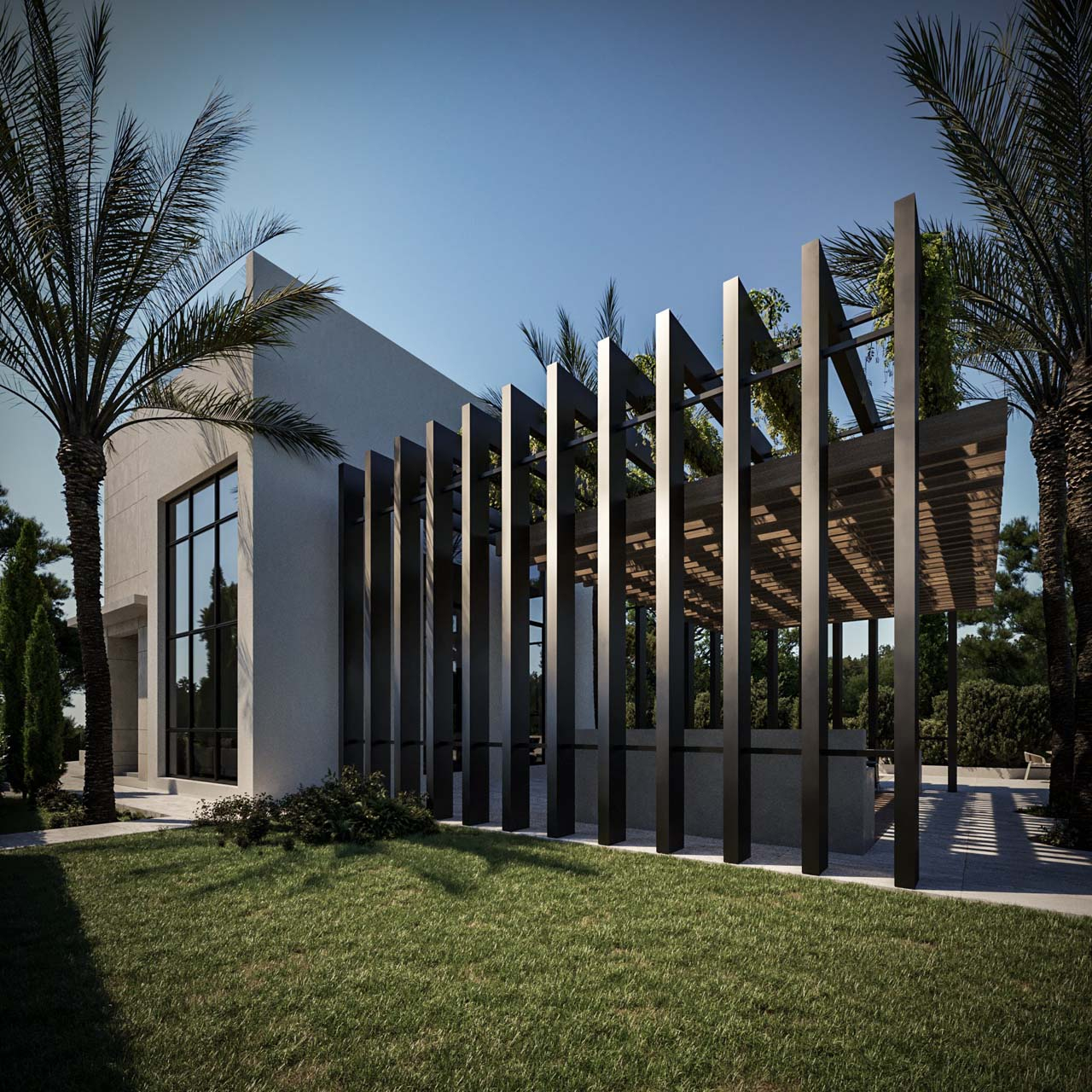 Project image