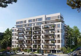 תמונות רב צעיר