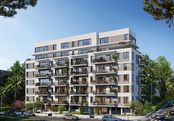 young rabbi קן התור הנדסה ובניין בע