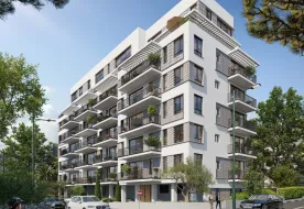 young rabbi קן התור הנדסה ובניין בע