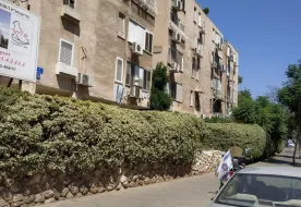 תמונות מעפילי אגוז 25-39