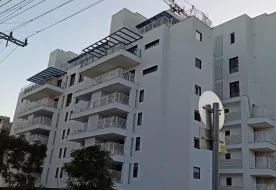 תמונות מעפילי אגוז 25-39