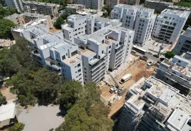 תמונות מעפילי אגוז 25-39