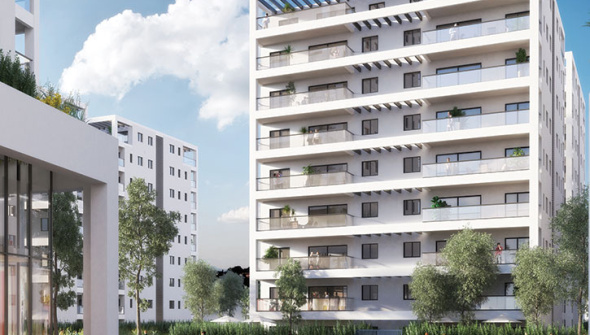 King Solomon complex