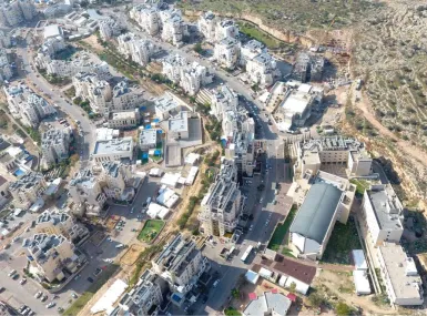 מול הישיבה / ברכפלד