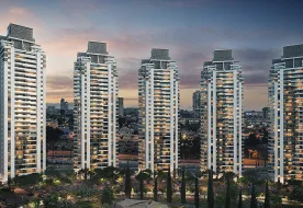 תמונות סנטרל פארק 17