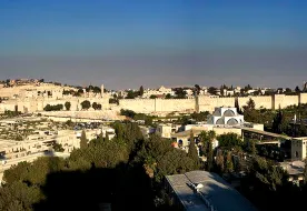 תמונות קינג דיויד רזידנס