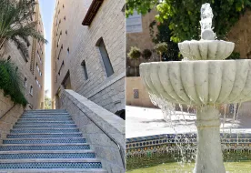 תמונות קינג דיויד רזידנס