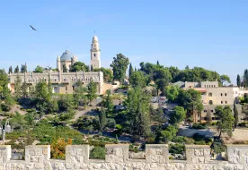 תמונות קינג דיויד רזידנס