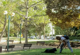 תמונות פרויקט ויצמן 11-13/חכמי קירואן