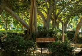 תמונות פרויקט ויצמן 11-13/חכמי קירואן