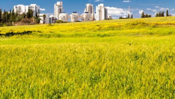 Regeneration in the city of Rehovot