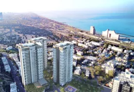 תמונות אלמוג כרמל מערב
