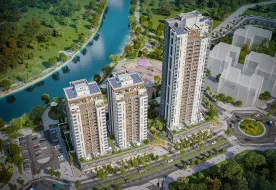 Afi Nofi Ben Shman אפי קפיטל