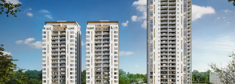 אפי נופי בן שמן