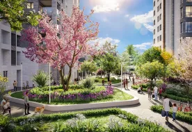 Afi Nofi Ben Shman אפי קפיטל