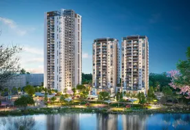 Afi Nofi Ben Shman אפי קפיטל