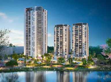 אפי נופי בן שמן