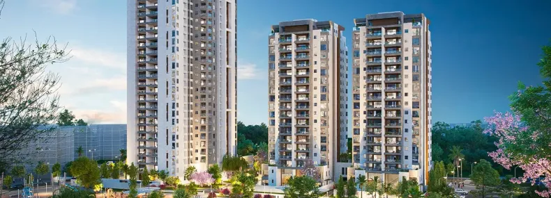 אפי נופי בן שמן