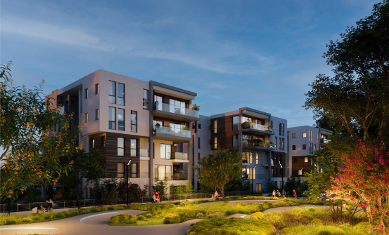 הגלריה הגלריה