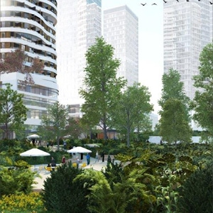 Project image