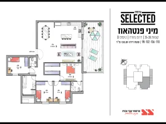 טיפוס D