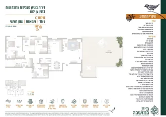 5 חדרים