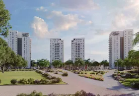 תמונות גינדי ״רמות אפעל״
