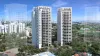 WESTHOOD 2 משווק - גינדי החזקות