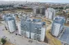 Milestones אבני דרך בע