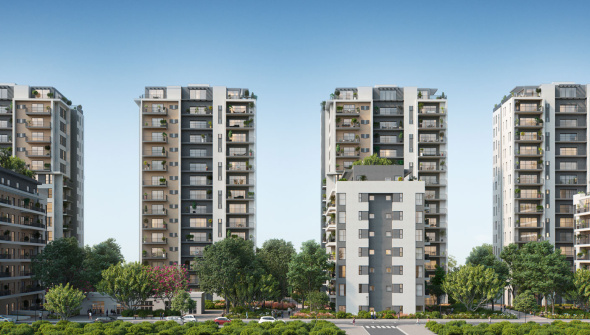 Shimoni complex Karni