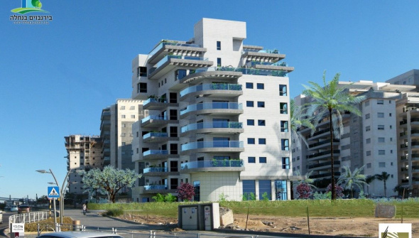 Birnbaum in Nachala Rishon LeZion