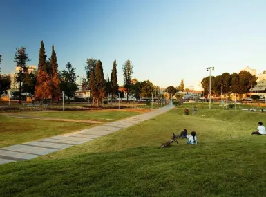 Top Rehovot