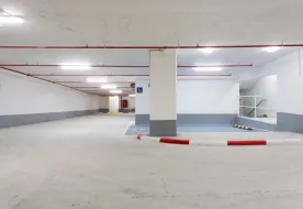תמונות אחד העם 8 חיפה