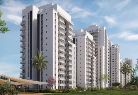 Project Be'er Ya'akov ארזי הנגב בע