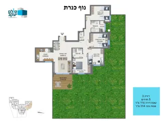 5 חדרים