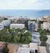 In front of the sea עץ השקד