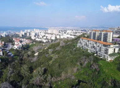חלומות גבעת זמר